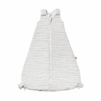 Ergobaby On The Move Sleeping Bag from 6 Months  Silver Waves