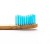 Humble Brush Eco Biodegradable Toothbrush Blue