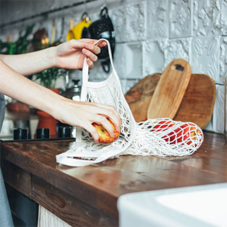 Eco-Home and Eco Living