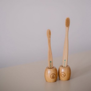 Croll and Denecke Bamboo Toothbrush