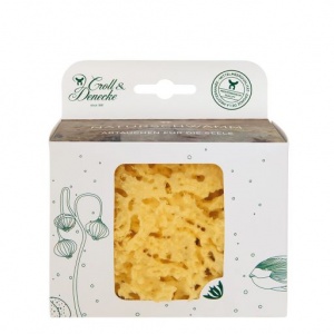 Croll and Denecke Natural Sea Sponge in Plastic Free Box - Medium