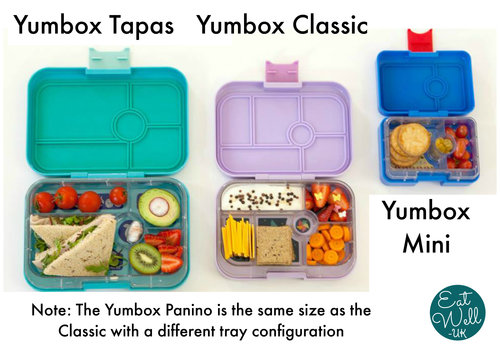 Yumbox 4 Compartment Panino Lunchbox Go Green (Bike Race Tray)