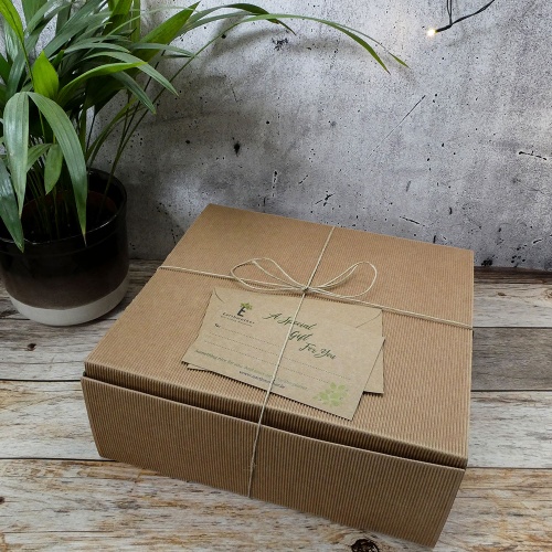 Newborn Baby Gift Box - Natural,  Organic and Eco Friendly