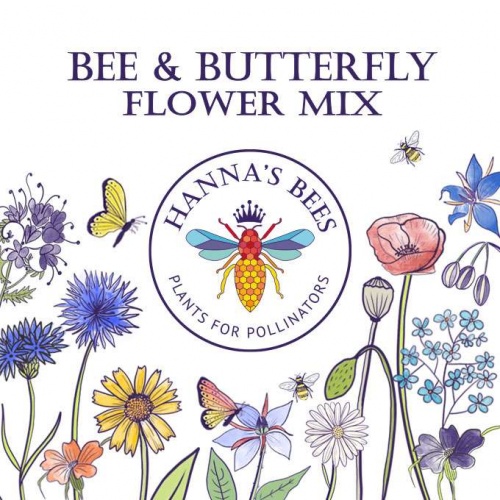 Hanna's Bees Native Irish Wildflower Seeds - Plants for Pollinators