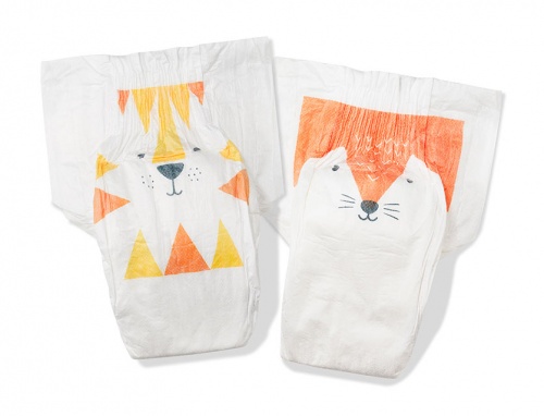 eco nappies south africa