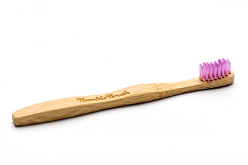 biodegradable brush