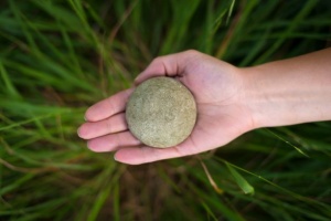 Three Hills Soap Solid Shampoo for Oily Hair - Nettle & Lavender Refill