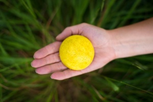 Three Hills Soap Solid Shampoo for All Hair Types - Orange Peel and Ylang Ylang Refill