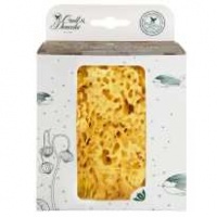 Croll and Denecke Natural Sea Sponge in Plastic Free Box - Large