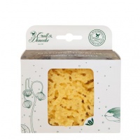 Croll and Denecke Natural Sea Sponge in Plastic Free Box - Medium