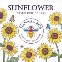 Hanna's Bees Native Irish Sunflower Seeds - Plants for Pollinators - Easy to Grow